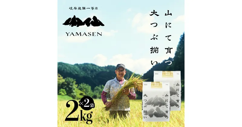 【ふるさと納税】新米予約受付【令和6年産米】山仙 (いのちの壱) 4kg ( 2kg × 2袋 ) すがたらいす 下呂市 金山産 4キロ 米 2024年産 お米 精米 白米 いのちのいち やません ご飯 ごはん 農家直送 送料無料 20000円