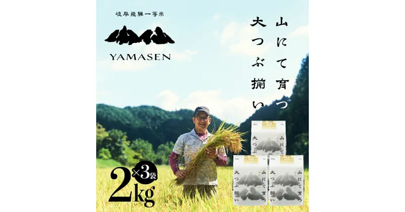 【ふるさと納税】新米予約受付【令和6年産米】山仙 (いのちの壱) 6kg ( 2kg × 3袋 ) すがたらいす 下呂市 金山産 6キロ 米 2024年産 お米 精米 白米 いのちのいち やません ご飯 ごはん 農家直送 送料無料 29000円