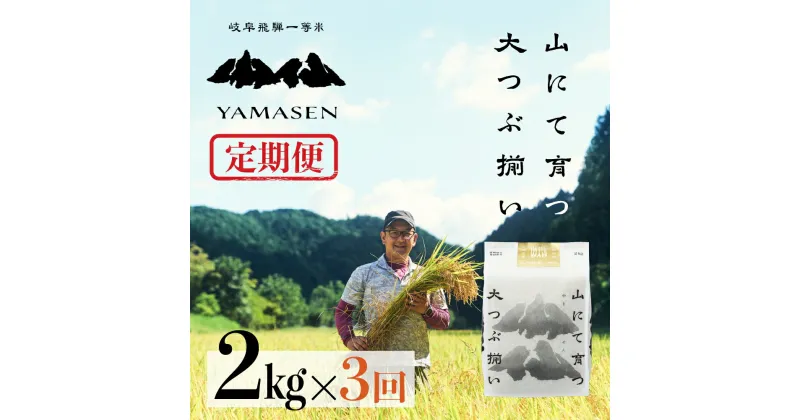 【ふるさと納税】新米予約受付 令和6年産米【定期便】山仙（いのちの壱） 2kg × 3回 山仙組合（有限会社 すがらたいす） 下呂市 金山産 6キロ 米 2024年産 お米 精米 白米 いのちのいち やません ご飯 ごはん 農家直送 送料無料 29000円