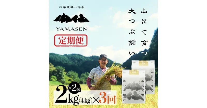 【ふるさと納税】令和6年産米【定期便】山仙（いのちの壱） 毎月 2kg × 2（4kg）× 3ヵ月 （定期お届け） 山仙組合（有限会社 すがらたいす） 下呂市 金山産 12キロ 米 2024年産 お米 精米 白米 いのちのいち やません ご飯 ごはん 農家直送 送料無料 58000円