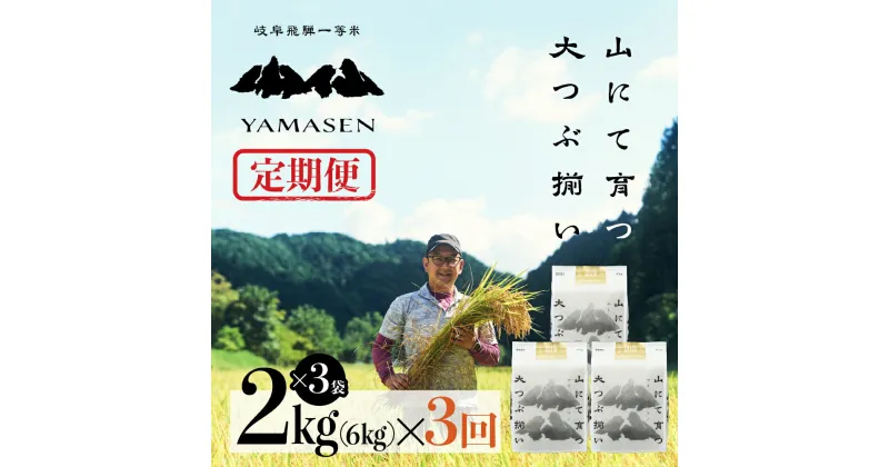 【ふるさと納税】新米予約受付 令和6年産米【定期便】山仙（いのちの壱） 2kg × 3袋（6kg）× 3回 山仙組合（有限会社 すがらたいす） 下呂市 金山産 18キロ 米 2024年産 お米 精米 白米 いのちのいち やません ご飯 ごはん 農家直送 送料無料 87000円