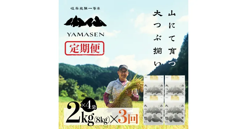 【ふるさと納税】 令和6年産米【定期便】山仙（いのちの壱） 2kg × 4袋（8kg）× 3回 山仙組合（有限会社 すがらたいす） 下呂市 金山産 24キロ 米 2024年産 お米 精米 白米 いのちのいち やません ご飯 ごはん 農家直送 送料無料 116000円