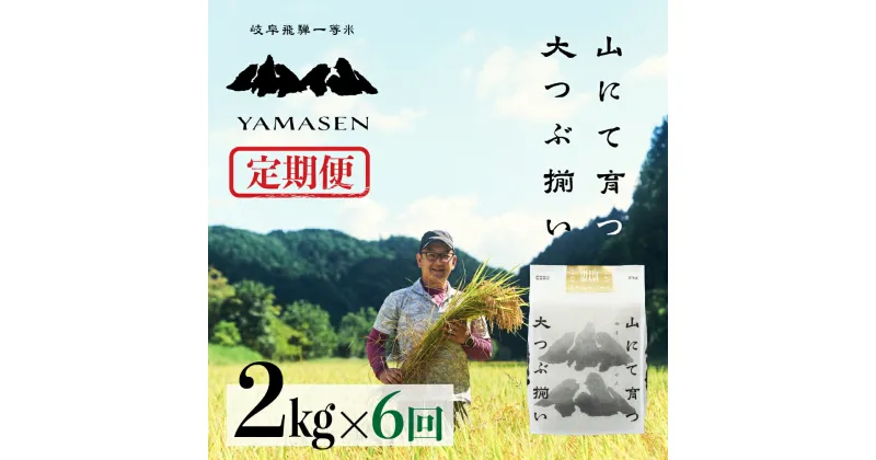 【ふるさと納税】 令和6年産米【定期便】山仙（いのちの壱） 2kg × 6回 山仙組合（有限会社 すがらたいす） 下呂市 金山産 12キロ 米 2024年産 お米 精米 白米 いのちのいち やません ご飯 ごはん 農家直送 送料無料 58000円