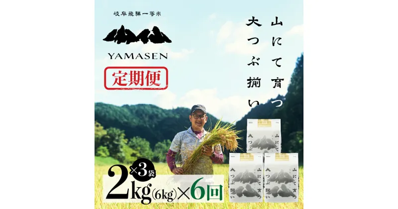 【ふるさと納税】 令和6年産米【定期便】山仙（いのちの壱） 2kg×3（6kg）×6回 山仙組合（有限会社 すがらたいす） 下呂市 金山産 36キロ 米 2024年産 お米 精米 白米 いのちのいち やません ご飯 ごはん 農家直送 送料無料 174000円