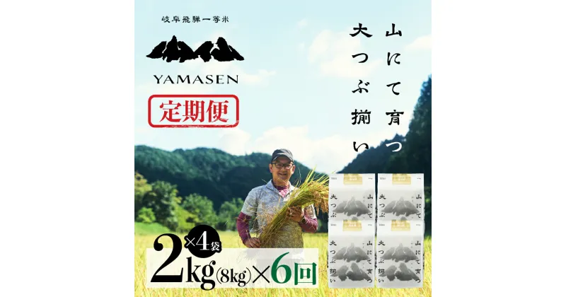 【ふるさと納税】 令和6年産米【定期便】山仙（いのちの壱） 2kg×4（8kg）× 6回 山仙組合（有限会社 すがらたいす） 下呂市 金山産 48キロ 米 2024年産 お米 精米 白米 いのちのいち やません ご飯 ごはん 農家直送 送料無料 230000円