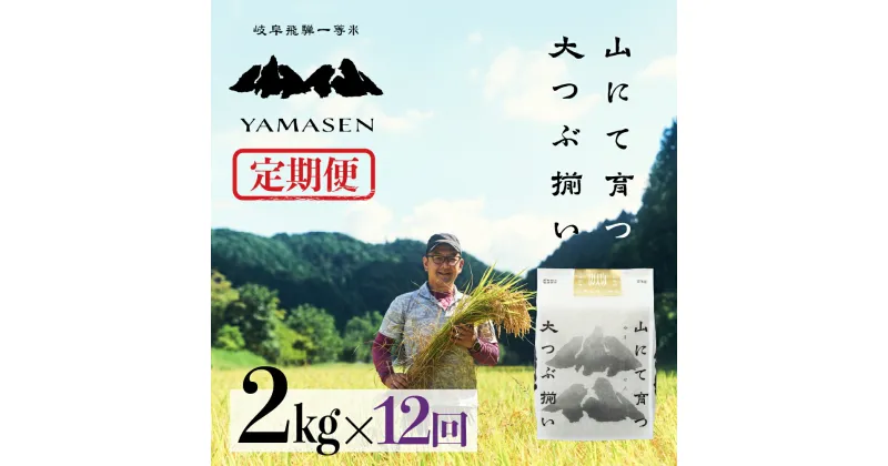 【ふるさと納税】令和6年産米【定期便】山仙（いのちの壱） 2kg × 12回 山仙組合（有限会社 すがらたいす） 下呂市 金山産 24キロ 米 2024年産 お米 精米 白米 いのちのいち やません ご飯 ごはん 農家直送 送料無料 115000円