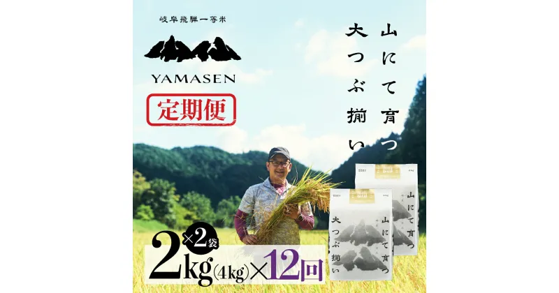 【ふるさと納税】 令和6年産米【定期便】山仙（いのちの壱） 2kg × 2袋（4kg）× 12回 山仙組合（有限会社 すがらたいす） 下呂市 金山産 48キロ 米 2024年産 お米 精米 白米 いのちのいち やません ご飯 ごはん 農家直送 送料無料 230000円