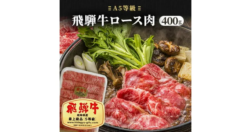 【ふるさと納税】飛騨牛ロース肉（A5等級）約400g　牛肉・お肉