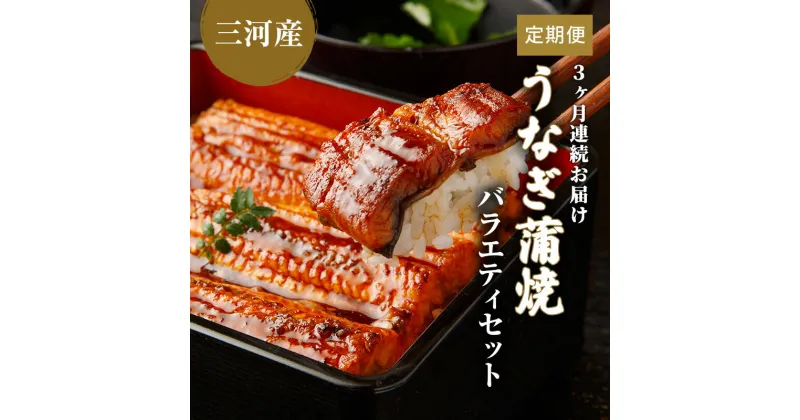 【ふるさと納税】うなぎ蒲焼バラエティセット（三河産）【3ケ月連続お届け】　定期便・魚貝類・うなぎ・ウナギ・鰻