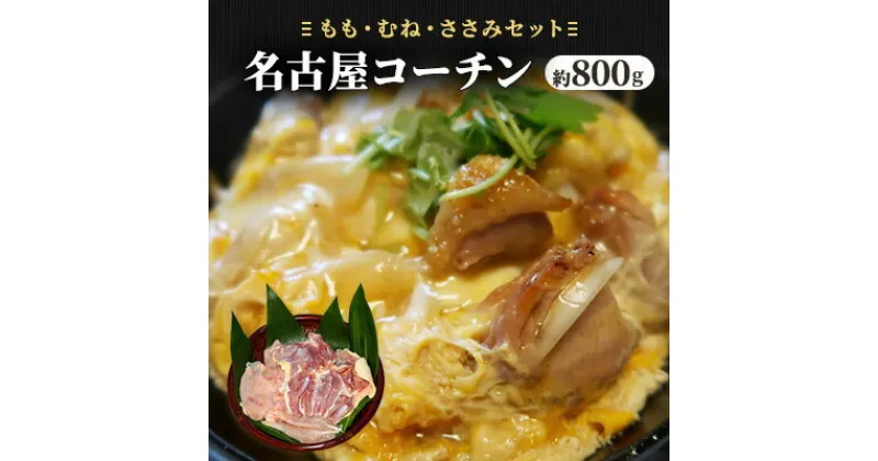 【ふるさと納税】生きいき！　名古屋コーチン　お肉・鶏肉