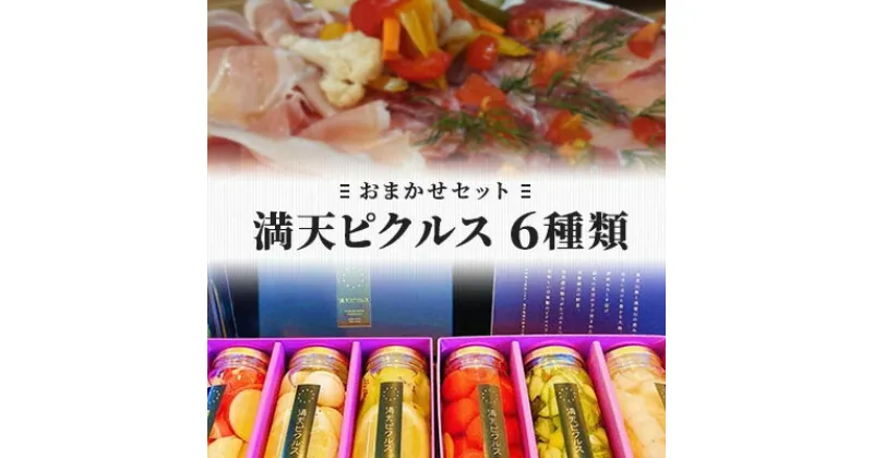 【ふるさと納税】満天ピクルスおまかせ6本セット　漬物・缶詰・加工食品