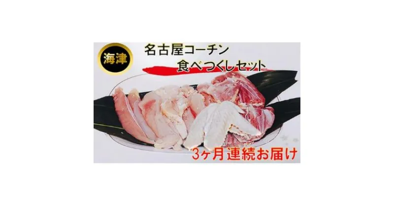 【ふるさと納税】【3ヶ月連続お届け】名古屋コーチン もも・むね・ささみ合計2.4kg +手羽先6本　定期便・お肉・鶏肉・ムネ・名古屋コーチン・手羽先・もも・むね・ささみ・3カ月・3回