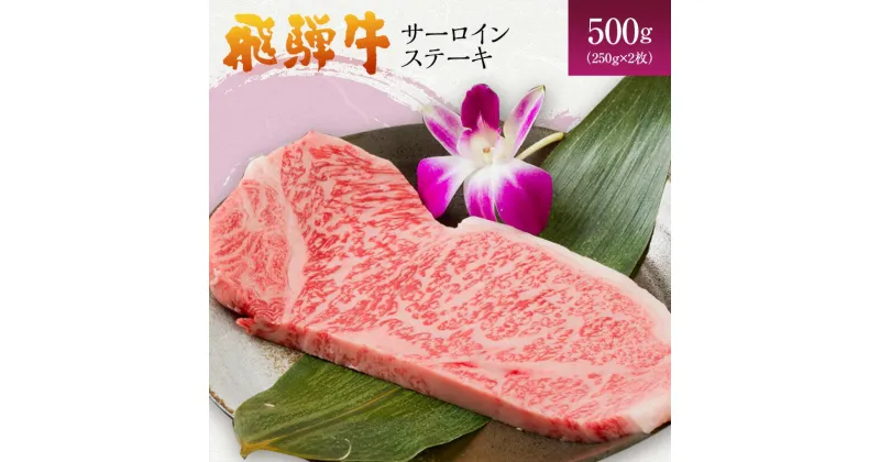 【ふるさと納税】岐阜県海津市産 飛騨牛サーロインステーキ(250g×2枚)　牛肉・サーロイン・ステーキ・飛騨牛・サーロインステーキ・500g