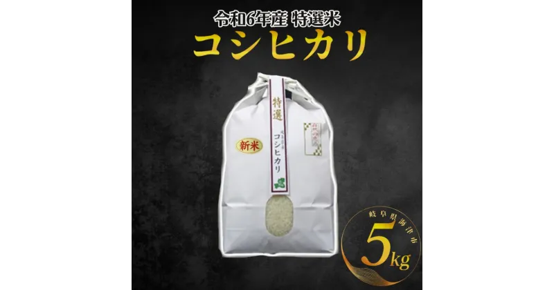 【ふるさと納税】【期間限定】新米！特選米コシヒカリ（5kg）　お米・コシヒカリ・米・5kg　お届け：2025年1月中旬まで