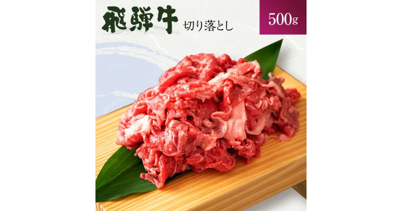 【ふるさと納税】飛騨牛 岐阜県海津市産 すき焼き 切り落とし 500g 牛肉　 すきやき 牛 お肉 肉 冷凍