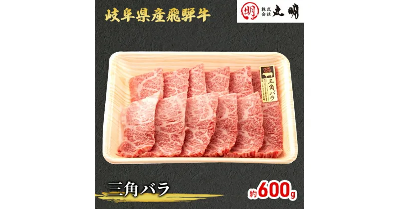 【ふるさと納税】飛騨牛 希少部位 三角バラ 焼肉 セット 600g 牛肉　 焼き肉 牛 お肉 肉 冷凍 バーベキュー BBQ