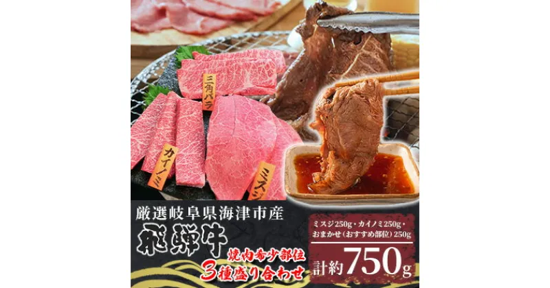 【ふるさと納税】【数量限定】【飛騨牛】海津市産焼肉希少部位3種盛り合わせオリジナルカット 【配達不可：離島】　 お肉 牛肉 焼肉用 バーベキュー 国産 岐阜県産 ブランド牛 食べ比べ ミスジ カイノミ おまかせ部位1種 サシ 霜降り おうち焼肉