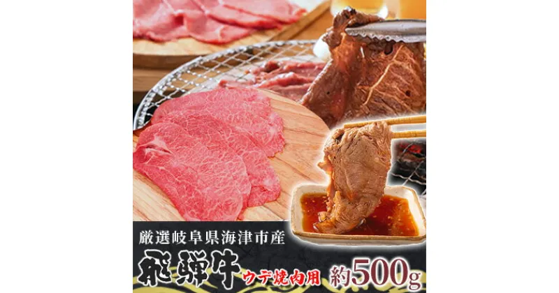 【ふるさと納税】【飛騨牛】海津市産ウデ焼肉オリジナルカット 【配達不可：離島】　 お肉 牛肉 焼肉用 バーベキュー ブランド牛 国産 岐阜県産 肩 赤身 サシ 霜降り 濃厚 旨味 脂身が少ない ダイエット おうち焼肉