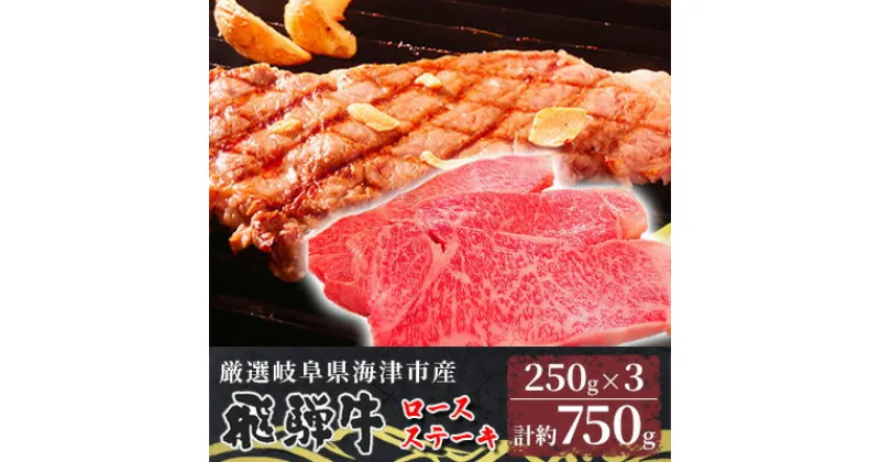 【ふるさと納税】【飛騨牛】海津市産ロースステーキ250g×3 【配達不可：離島】　 お肉 牛肉 ステーキ用 国産 岐阜県産 ブランド牛 夕飯 記念日 ディナー 柔らかい サシ 霜降り ボリューミー とろける 旨味