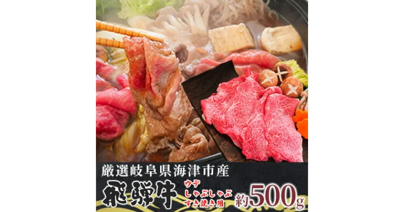 【ふるさと納税】【飛騨牛】海津市産ウデしゃぶしゃぶすき焼き用スライス 【配達不可：離島】　 お肉 牛肉 国産 岐阜県産 ブランド牛 鍋 牛鍋 肩 赤身 サシ 霜降り 濃厚 旨味 脂身が少ない ダイエット 肉じゃが 炒め物