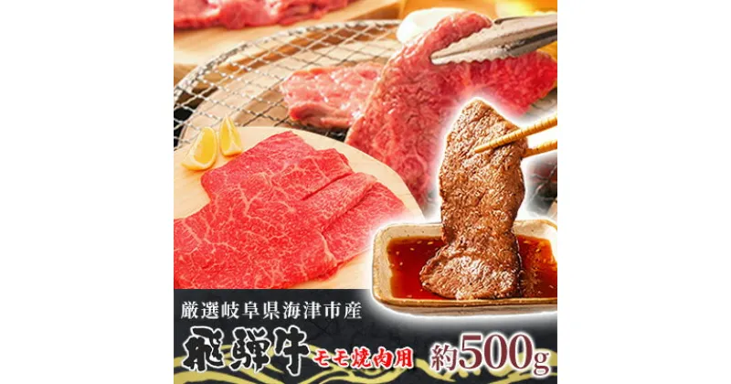 【ふるさと納税】【飛騨牛】海津市産モモ焼肉オリジナルカット 【配達不可：離島】　 お肉 牛肉 焼肉用 バーベキュー もも肉 ブランド牛 赤身 適度なサシ 霜降り 濃厚 旨味 脂身が少ない ダイエット おうち焼肉 岐阜県産 国産