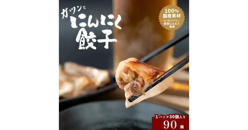 【ふるさと納税】発芽にんにく餃子30個入り3パック　餃子 にんにく にんにくたっぷり 国産にんにく 発芽にんにく 冷凍 臭わない 栄養価抜群 スタミナ 免疫アップ おつまみ おかず 総菜 餃子専門店 ぎょうざ 工場直売 大量 まとめ買い　 海津市