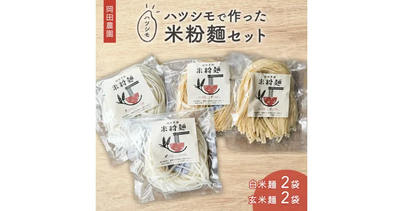 【ふるさと納税】岡田農園のハツシモで作った米粉麺セット