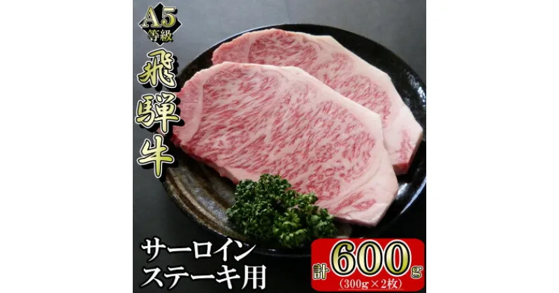 【ふるさと納税】[A5等級]飛騨牛サーロインステーキ用600g【配送不可地域：離島】【1445727】