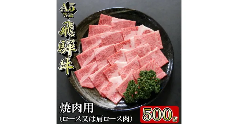 【ふるさと納税】[A5等級]飛騨牛焼肉用500g　ロース又は肩ロース肉【配送不可地域：離島】【1445787】