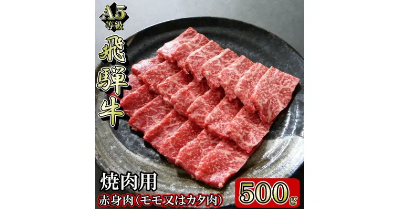 【ふるさと納税】[A5等級]飛騨牛赤身肉焼肉用500g　モモ又はカタ肉【配送不可地域：離島】【1445792】