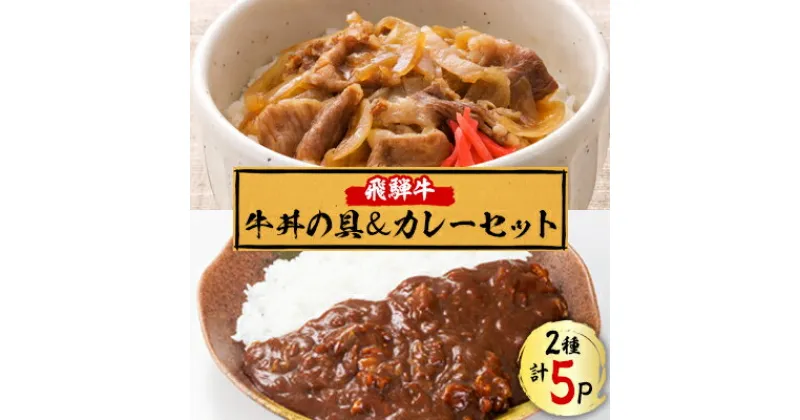 【ふるさと納税】飛騨牛牛丼の具とカレーのセット【配送不可地域：離島】【1213292】