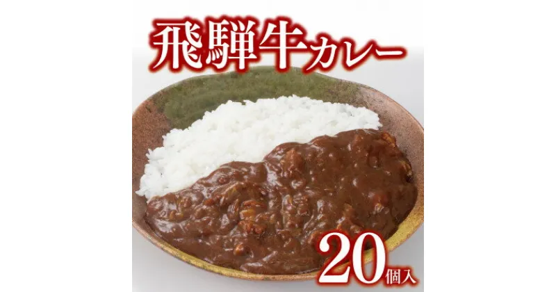 【ふるさと納税】飛騨牛カレー20個セット【配送不可地域：離島】【1304876】