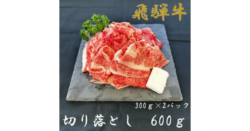 【ふるさと納税】飛騨牛切り落とし300g×2パック【配送不可地域：離島】【1507965】