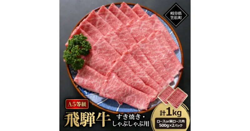 【ふるさと納税】A5等級飛騨牛:すき焼き・しゃぶしゃぶ用1kg　ロース又は肩ロース肉【配送不可地域：離島】【1537739】