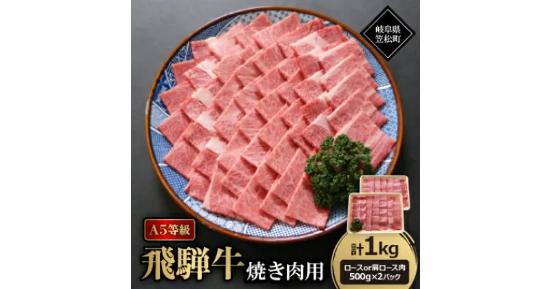 【ふるさと納税】A5等級飛騨牛:焼き肉用1kg　ロース又は肩ロース肉【配送不可地域：離島】【1537763】