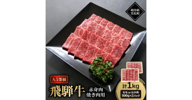 【ふるさと納税】A5等級飛騨牛:赤身肉焼き肉用約1kg　モモ又はカタ肉【配送不可地域：離島】【1537765】