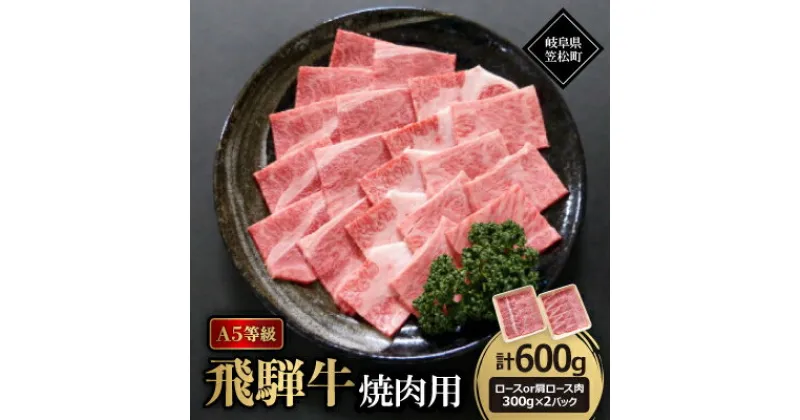 【ふるさと納税】A5等級飛騨牛:焼肉用600g　ロース又は肩ロース肉【配送不可地域：離島】【1538010】