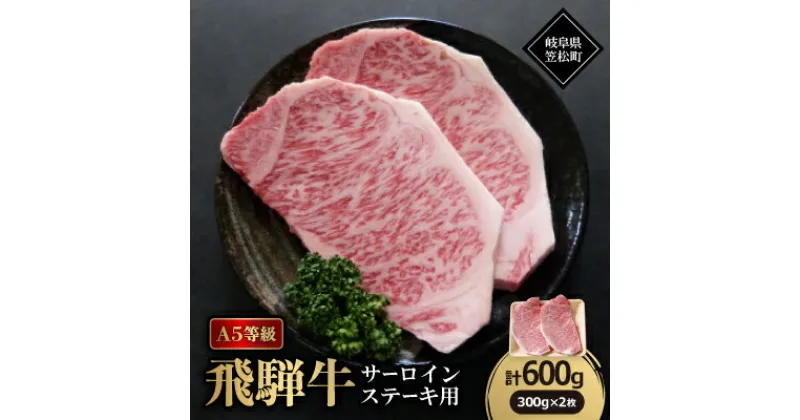 【ふるさと納税】A5等級飛騨牛:サーロインステーキ用600g【配送不可地域：離島】【1538390】