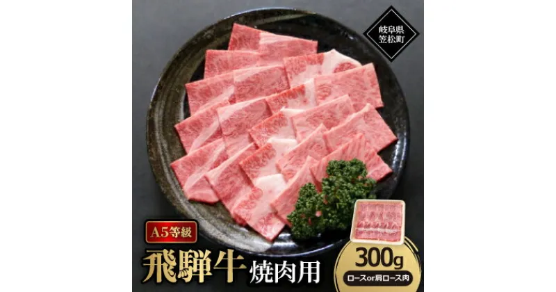 【ふるさと納税】A5等級飛騨牛:焼肉用300g　ロース又は肩ロース肉【配送不可地域：離島】【1538414】