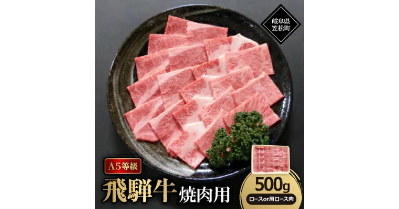 【ふるさと納税】A5等級飛騨牛:焼肉用500g　ロース又は肩ロース肉【配送不可地域：離島】【1538418】