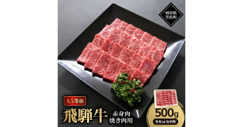 【ふるさと納税】A5等級飛騨牛:赤身肉焼肉用500g　モモ又はカタ肉【配送不可地域：離島】【1538427】