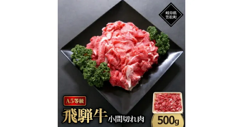 【ふるさと納税】A5等級飛騨牛:小間切れ500g【配送不可地域：離島】【1538437】