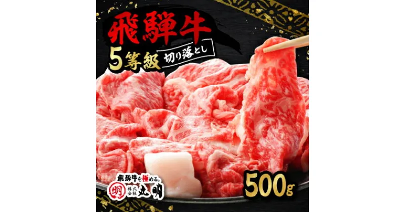 【ふるさと納税】飛騨牛5等級　切り落とし用途いろいろ　500g【配送不可地域：離島・北海道・沖縄県】【1034745】