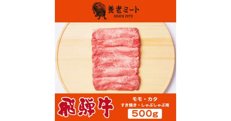 【ふるさと納税】飛騨牛モモもしくはカタ 500g (すき焼き・しゃぶしゃぶ用)【配送不可地域：離島】【1042663】