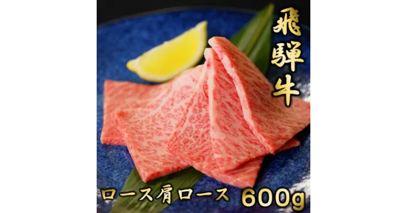 【ふるさと納税】飛騨牛ロースまたは肩ロース600g (焼肉・BBQ用)【配送不可地域：離島】【1042664】