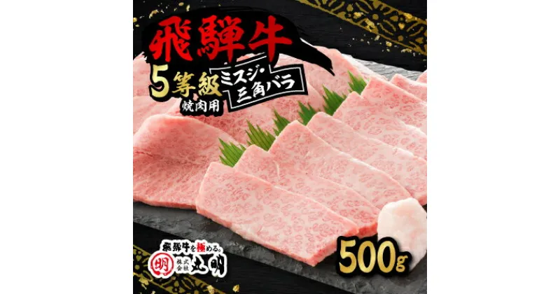 【ふるさと納税】飛騨牛5等級　ミスジ・三角バラ　焼肉用　500g【配送不可地域：離島・北海道・沖縄県】【1043501】