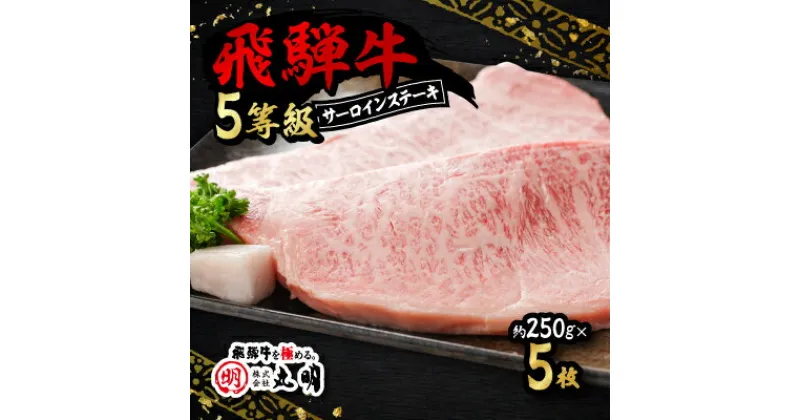 【ふるさと納税】飛騨牛5等級　サーロインステーキ　約250g×5枚【配送不可地域：離島・北海道・沖縄県】【1043511】