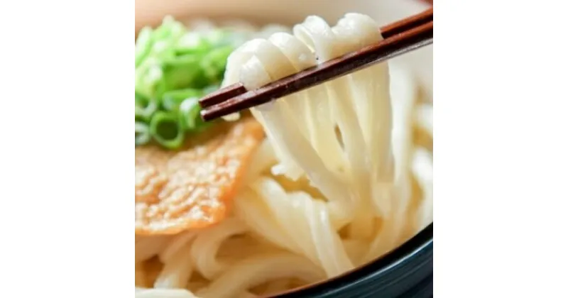 【ふるさと納税】【糖質オフ 50%】低糖質麺 うどん 2700g(約27人前)【1256465】