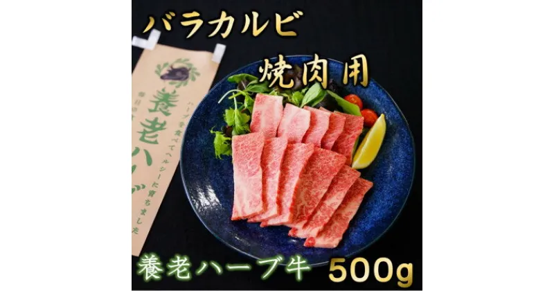 【ふるさと納税】養老ハーブ牛　バラカルビ　焼肉用　500g【配送不可地域：離島】【1273628】