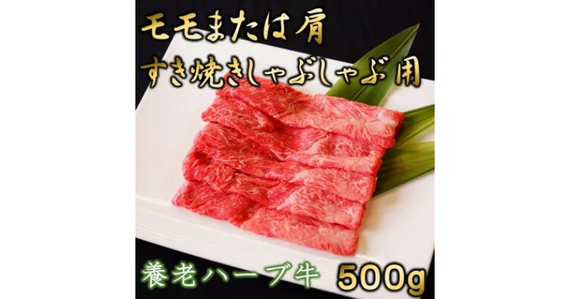 【ふるさと納税】養老ハーブ牛　モモまたは肩　すき焼き・しゃぶしゃぶ両用　500g【配送不可地域：離島】【1273629】